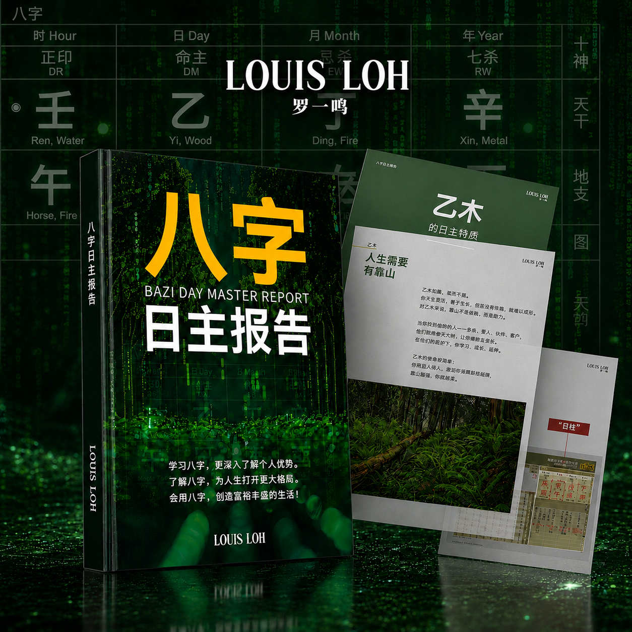 八字日主报告